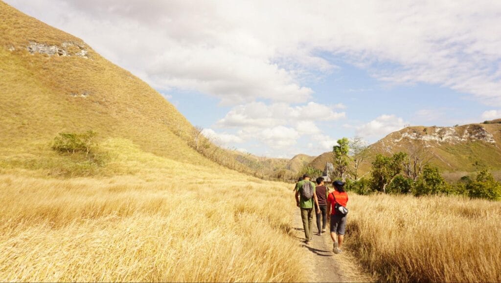 Wisatawan trekking di Pulau Padar mengikuti jalur resmi dengan kondisi medan savana kering